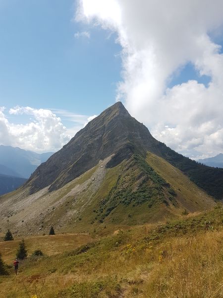 Image 8